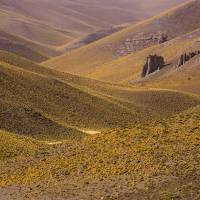 Puna - Argentina