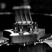 Note tra le corde