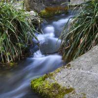 Acqua di lago e di monte